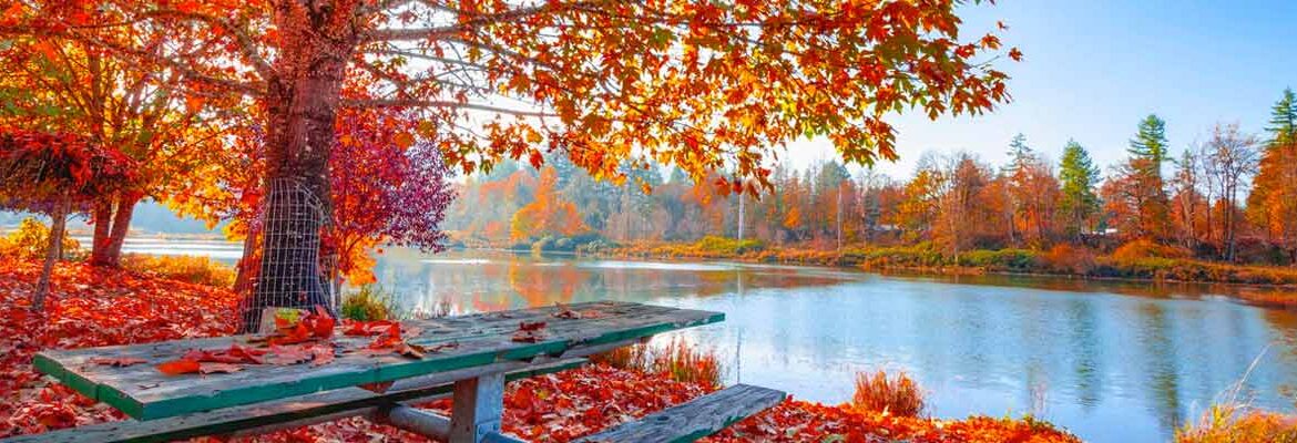 Herfstvakantie 2023
